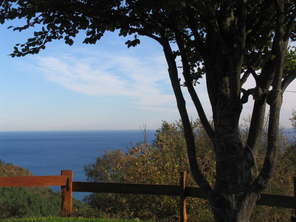 Igeldo Villa Orio Exteriör bild