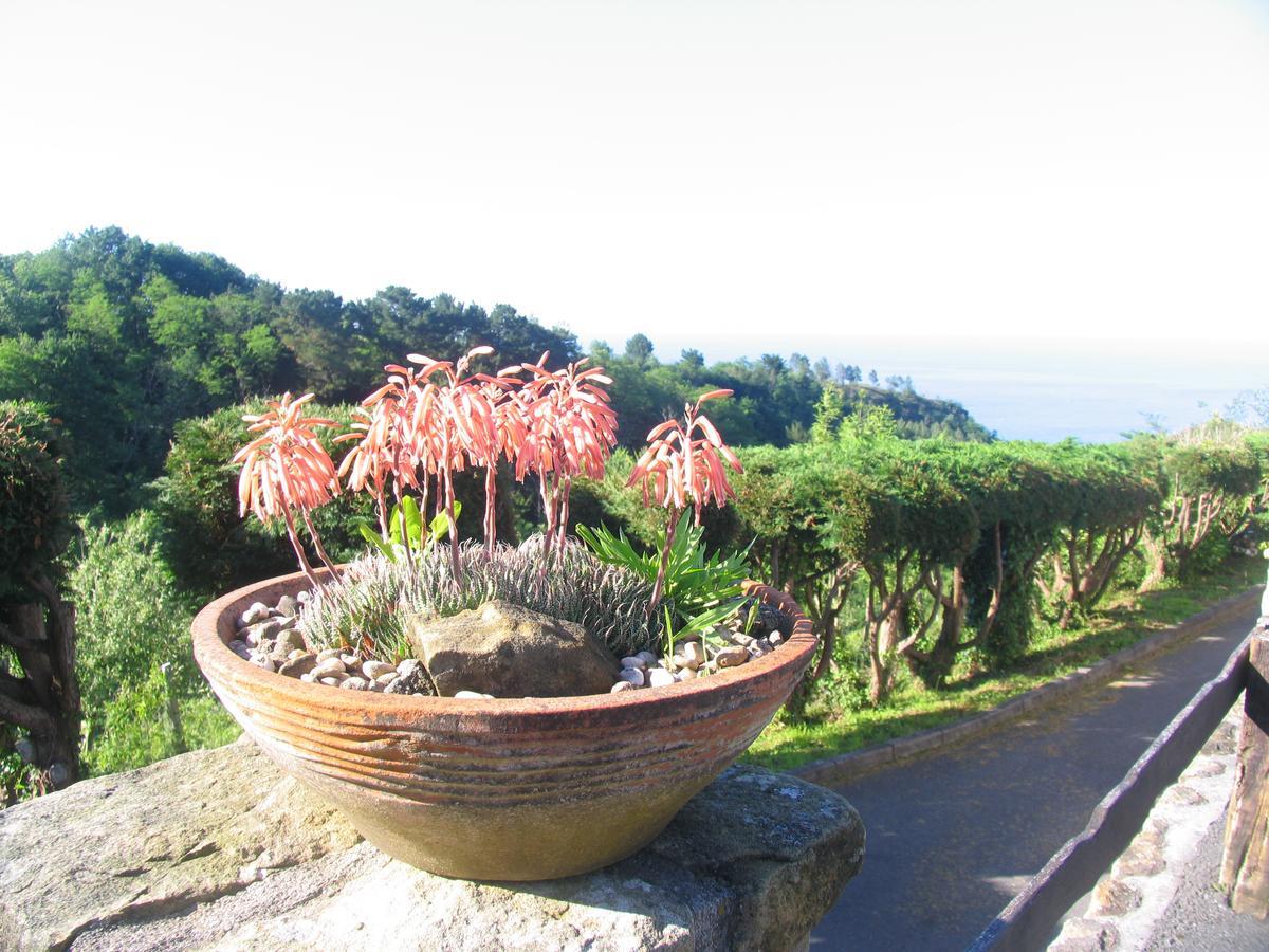 Igeldo Villa Orio Exteriör bild